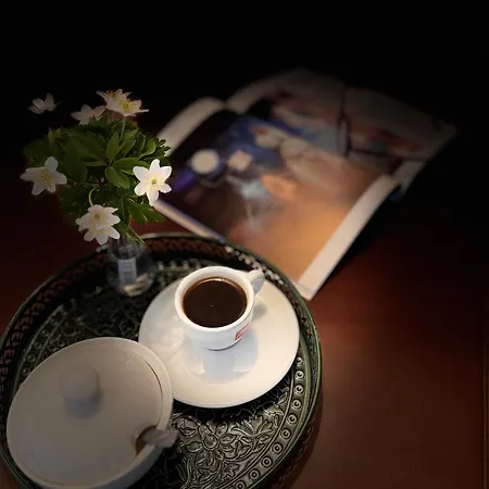 With A Terrace Forest Lullula Διαμέρισμα Veprinac