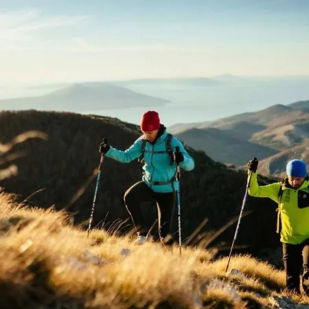 With A Terrace Forest Lullula Apartman *