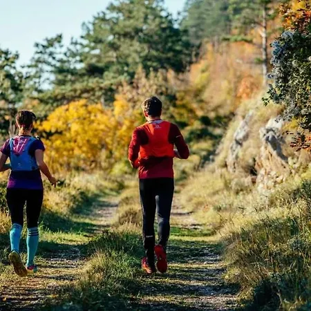 With A Terrace Forest Lullula *