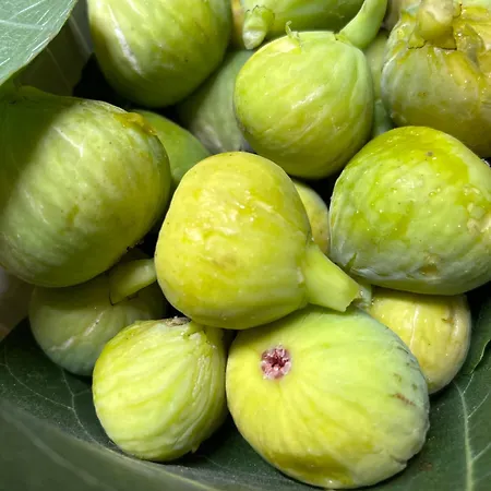 With A Terrace Forest Lullula Διαμέρισμα *