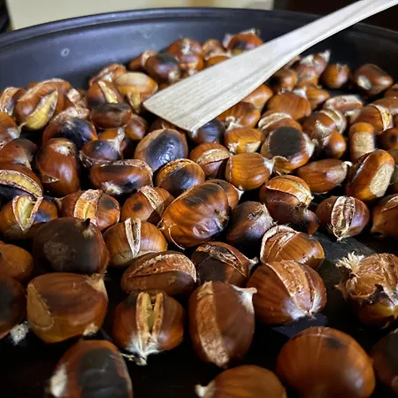 With A Terrace Forest Lullula Veprinac