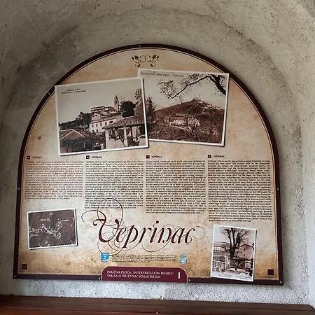 With A Terrace Forest Lullula *