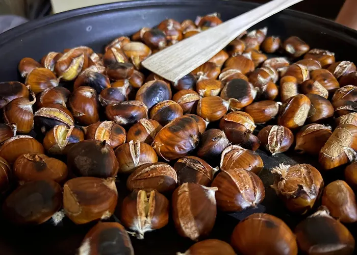 With A Terrace Forest Lullula Veprinac