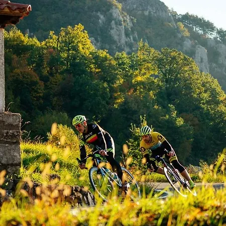 With A Terrace Forest Lullula Apartmán Veprinac