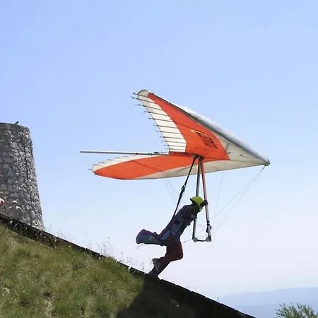 With A Terrace Forest Lullula Veprinac