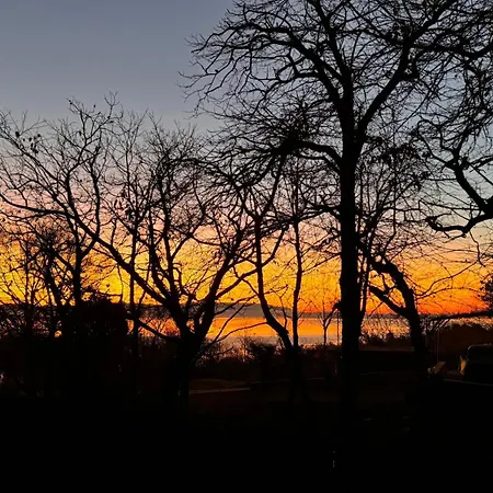 With A Terrace Forest Lullula