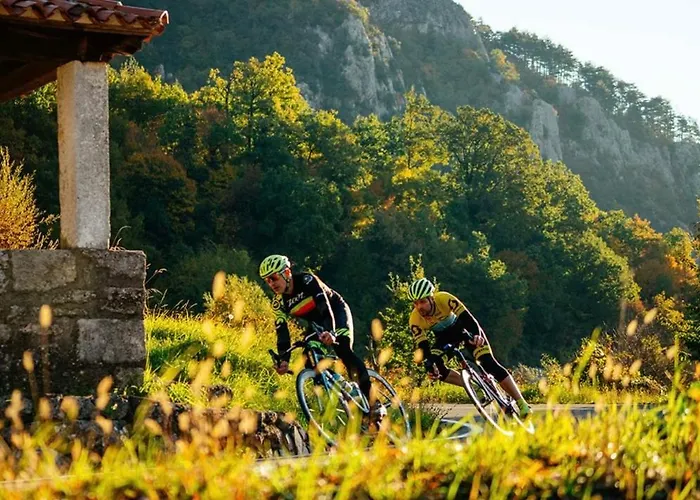 With A Terrace Forest Lullula Διαμέρισμα Veprinac