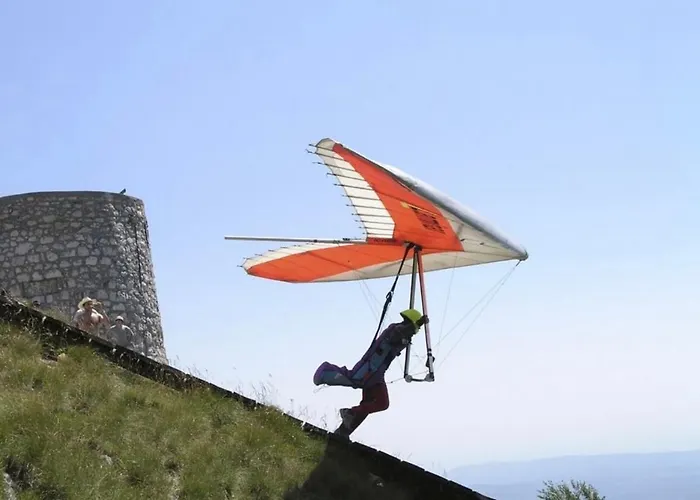 With A Terrace Forest Lullula Veprinac