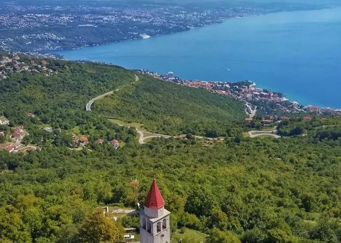 With A Terrace Forest Lullula Veprinac