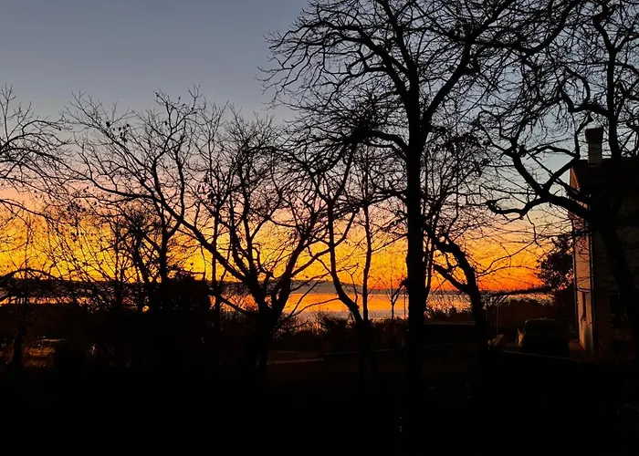 With A Terrace Forest Lullula